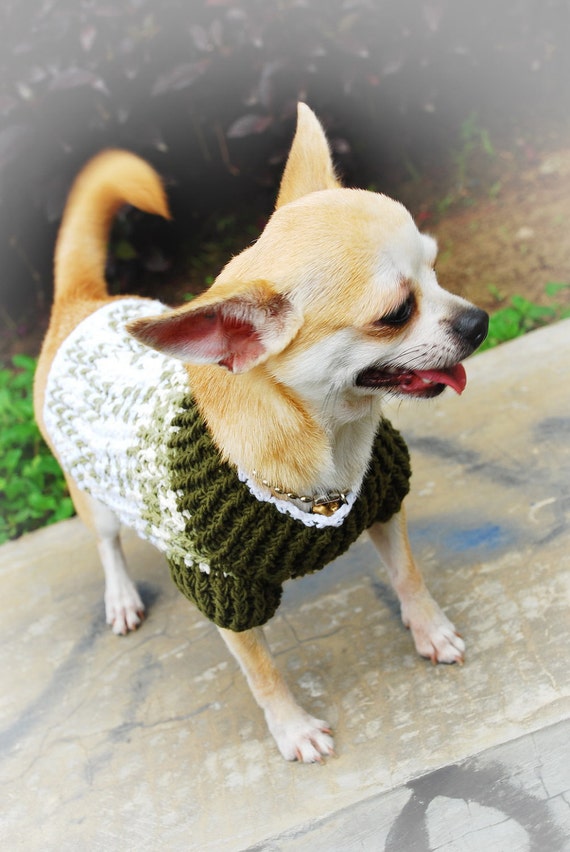 Items similar to Comfortable Dog Sweaters Teacup Puppies Chihuahua