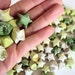 LAST SET 100 The Princess and the Frog Origami Stars