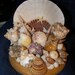 SeaShell Tabletop Night Light Nursery Bedroom Hall Foyer 1