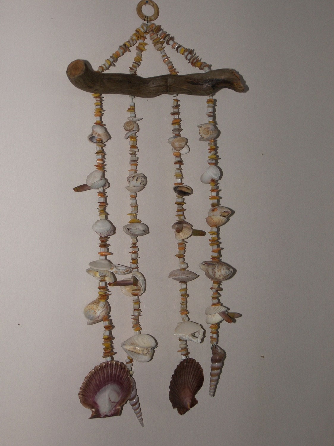 Similiar Shell Wind Chimes Keywords Sea Shell Wind Chime 1 Clams Mexican Flats By Eagle414