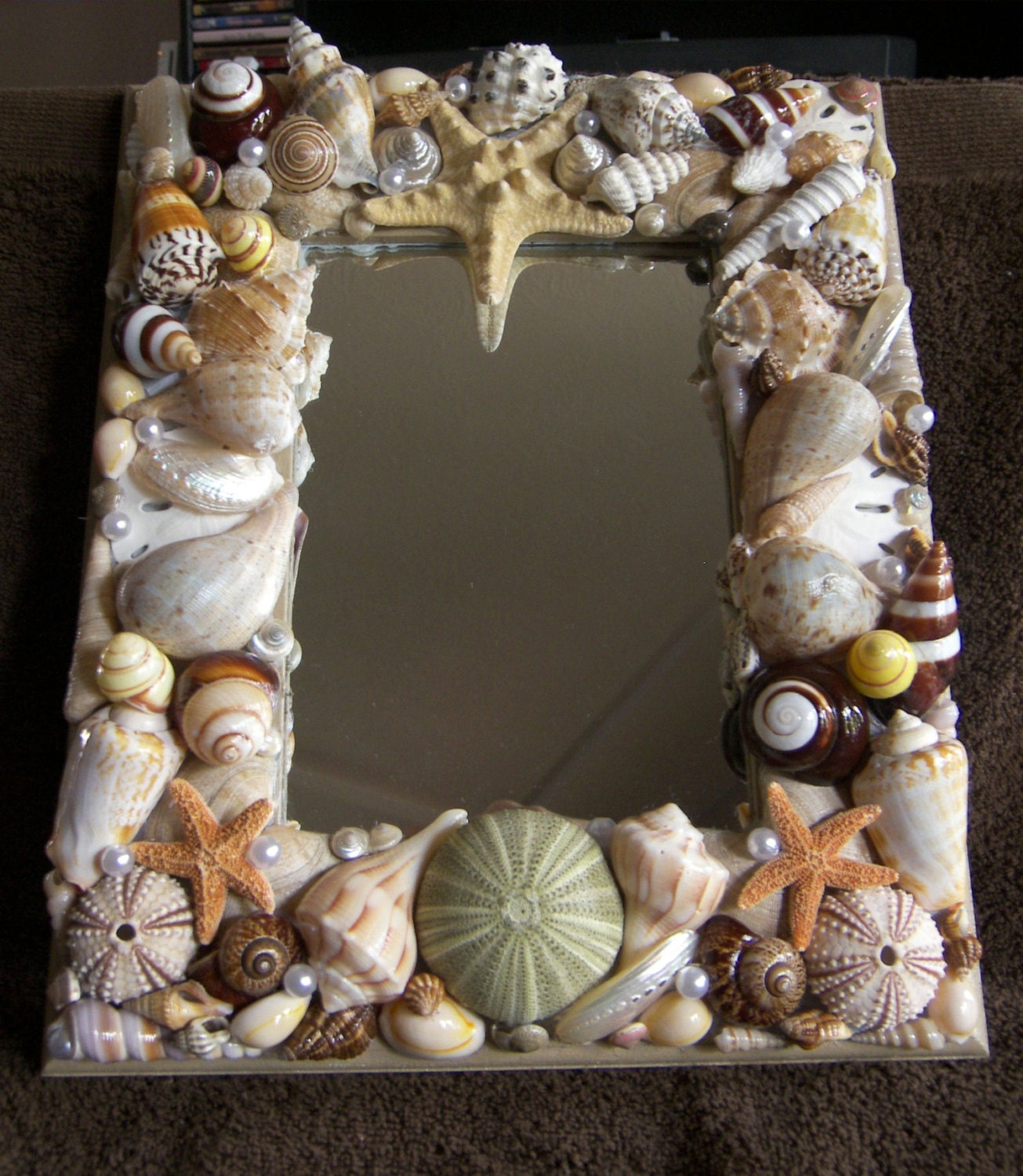 SeaShell Mirror Starfish Urchins & Sand Dollars