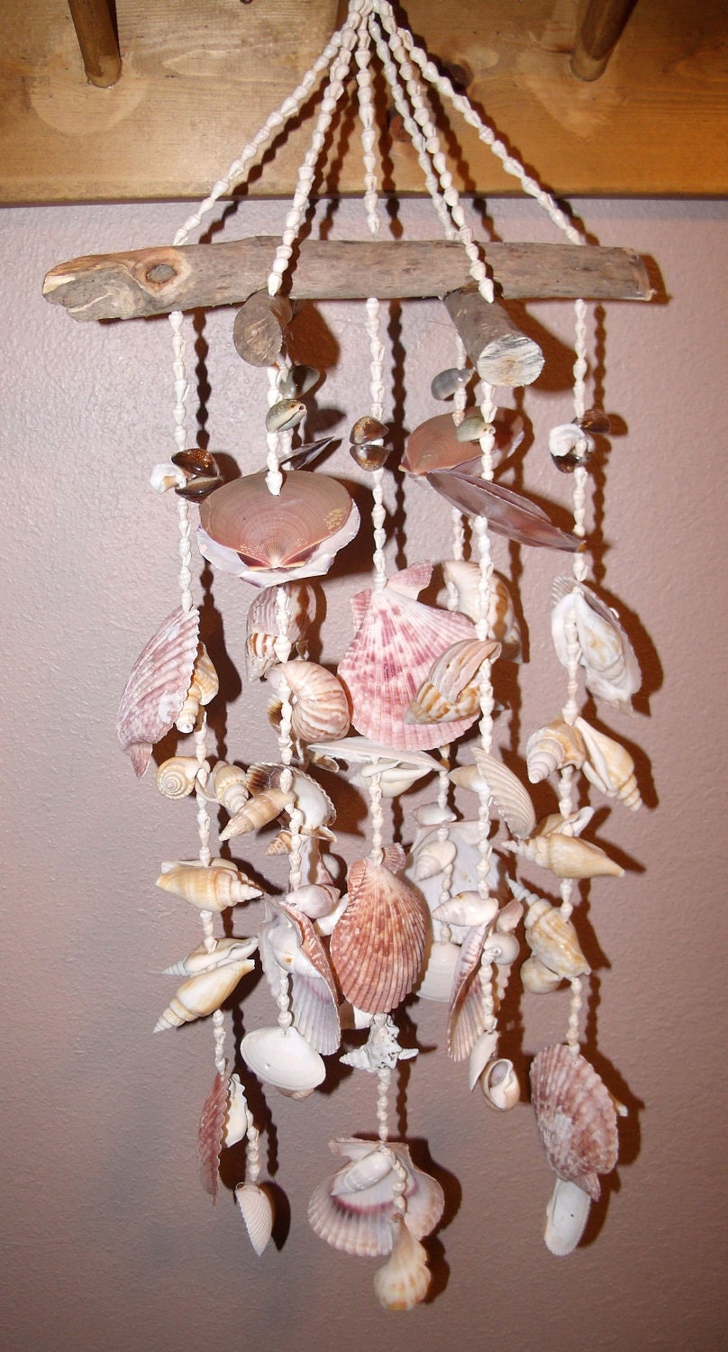 Sea Shell Wind Chime 14 The Big One