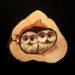Wood Carving Owls in Red Cedar