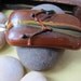 Copper Sheen