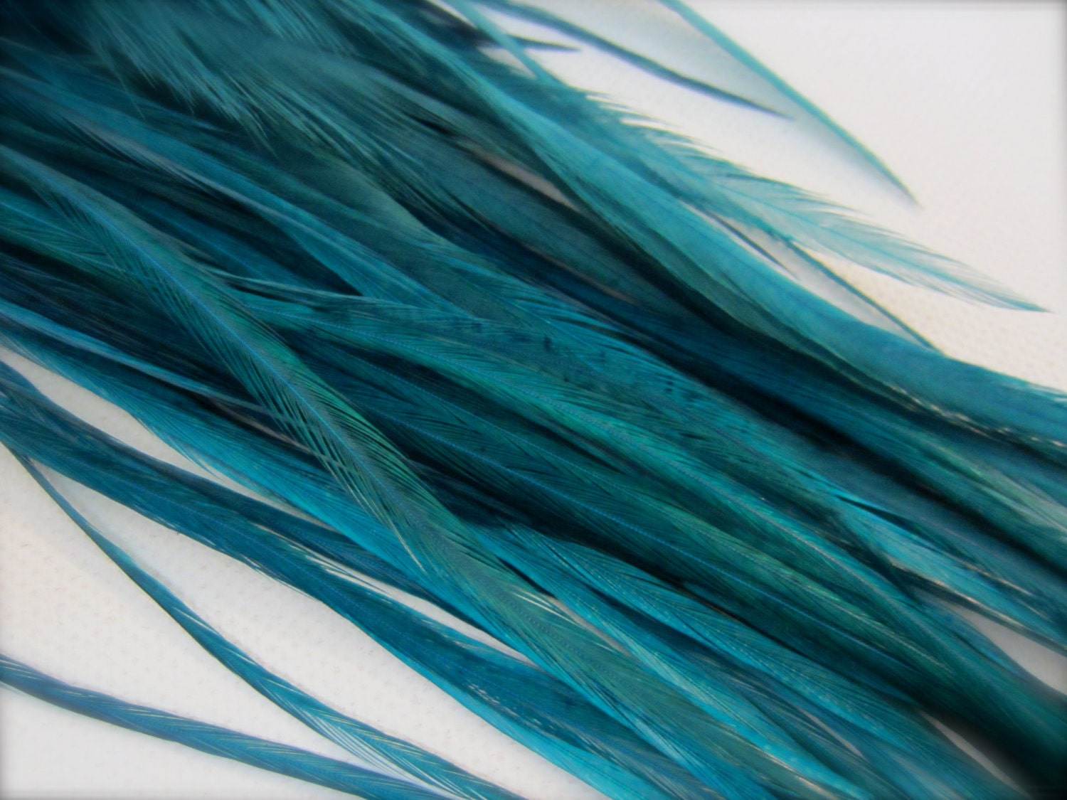 10 SHORTER SOLID TEAL Feathers for Feather Extensions & 3