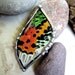 Madagascan Sunset Moth Pendant, Real Butterfly Jewelry, Real Wings