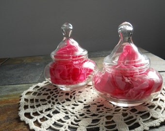 Vintage Twin Apothecary Jars
