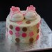 Fondant Shoe Toppers with Matching Polka Dot and Flower Cake or Cupcake Decorations Perfect for Your Baby Shower Cake
