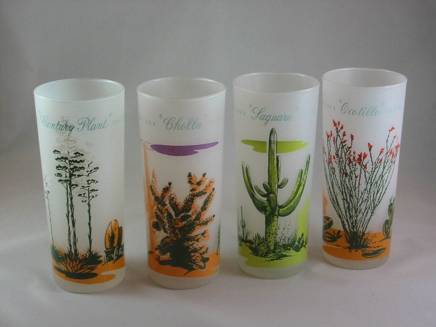 Vintage Arizona Cactus Glasses Frosted Souvenir Western