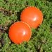 60s Vintage Coro MOD Pumpkin Orange and Gold Large Round Clip on Earrings for Fall