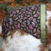 Paisley Spankie (dog diaper)