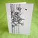 Zentangle Frog Cards, Variety Set of 4