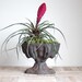 Vintage Cast Iron Planter