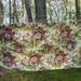 Pretty Vintage 1950's Barkcloth Drapery Panel Colorful Floral 42 x 82"