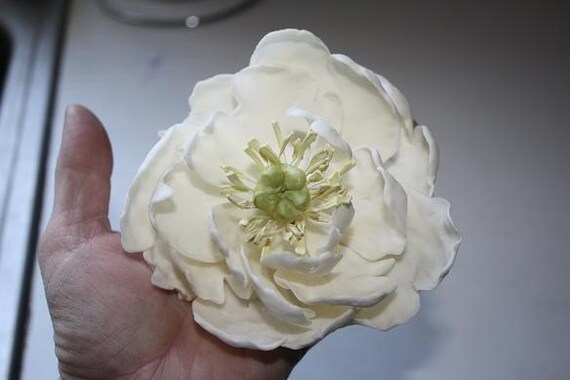 Gumpaste Peony Tutorial For Cake Decorating By Acaketoremember