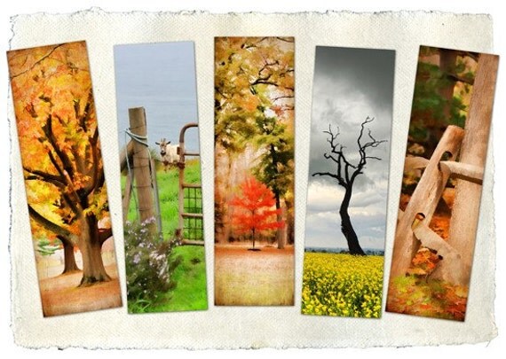 nature series set of 5 bookmarks beautiful set of