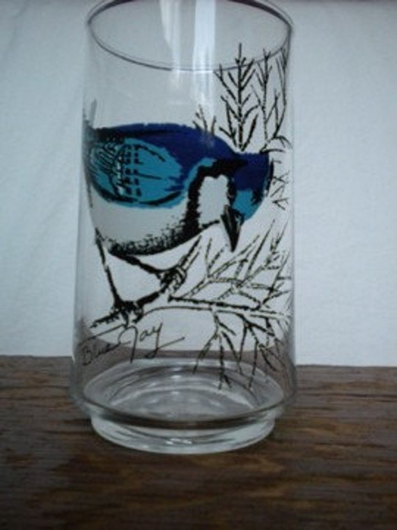 Vintage Bird Drinking Glasses Anchor Hocking Set Of 7 By Oldandodd