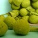 3 Yards "Lime Green" JUMBO PomPom Trim, Ball Fringe