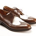 brown and white wingtip
