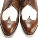 brown and white wingtip