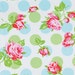 Registery for Brooke Muse- Pillow