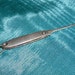 Antique Sterling Silver Buttonhook Collectible Gorham