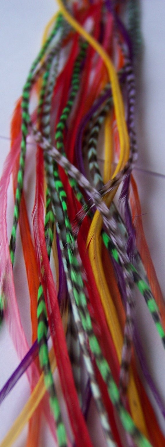20/Feather Hair Extensions/With Crimping Beads/Rainbow Mix