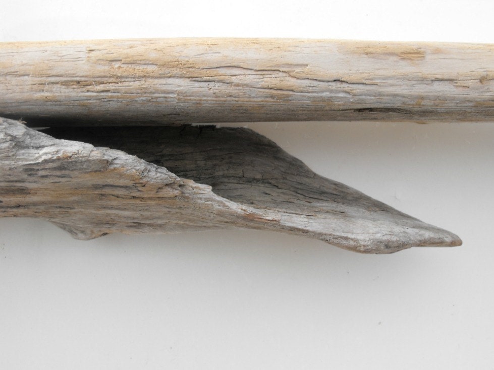 Driftwood Shelf No. 63