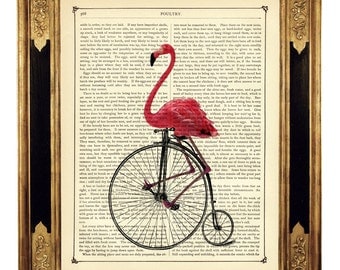Pink Flamingo riding Bicycle Bike Unicycle Penny Farthing - Vintage Victorian Book Page Art Print Steampunk