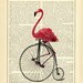 where can i buy a flamingo bike