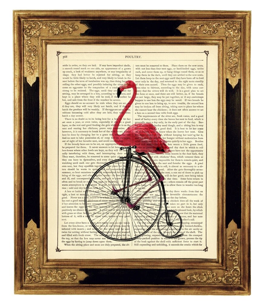Pink Flamingo riding Bicycle Bike Unicycle Penny Farthing