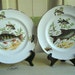Vintage English Bone China Pall Mall Ware Set of 2 - Fish Images