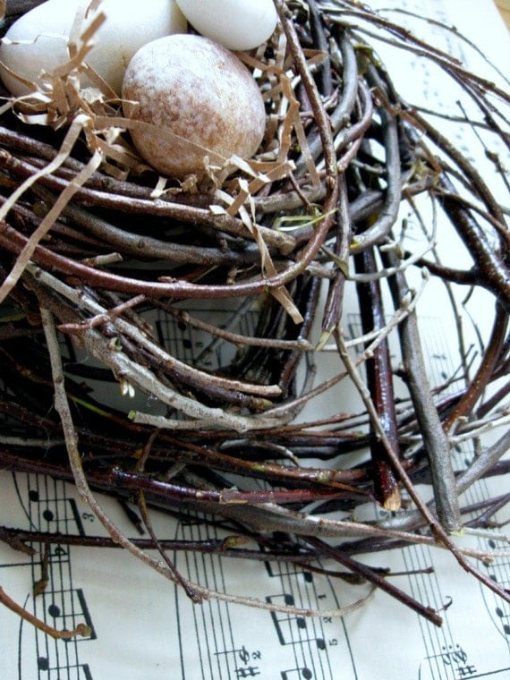 Handcrafted Bird Nest / Birch Twig / Natural / Unadorned