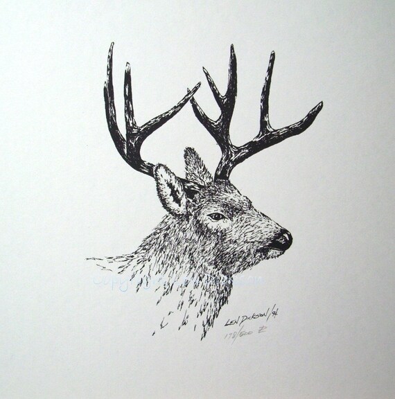 Items similar to Mule Deer - Print of an Original Pen and Ink Sketch by ...