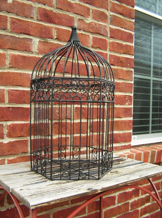 Vintage Bird Cage Terrarium French Country House