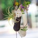 A Trio of Wearable Planters