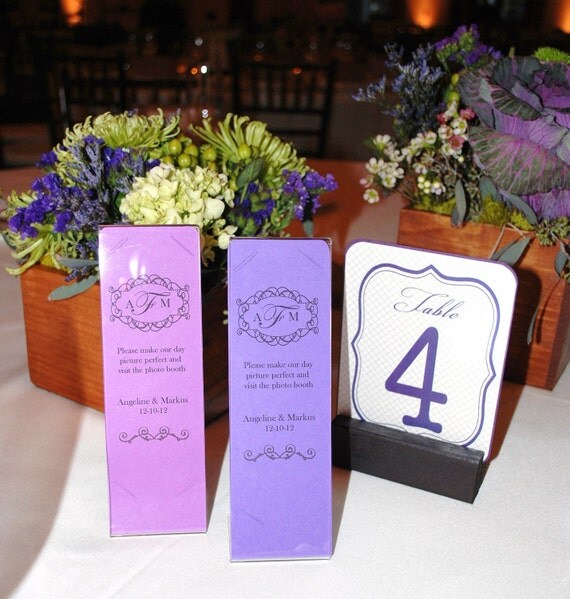 Photo Booth Card Strip Frame with Acrylic Frame Inserts