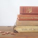 Vintage Books Gun Rifle Hunting Burnt Orange Man Cave Rustic Cabin Game Room For Him Instant Collection