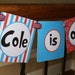 Dr. Seuss Inspired Personalized High Chair Banner by The Party Paper Fairy