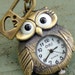 Steampunk WISE OWL- HEART lock Necklace Victorian pendant charm pirate