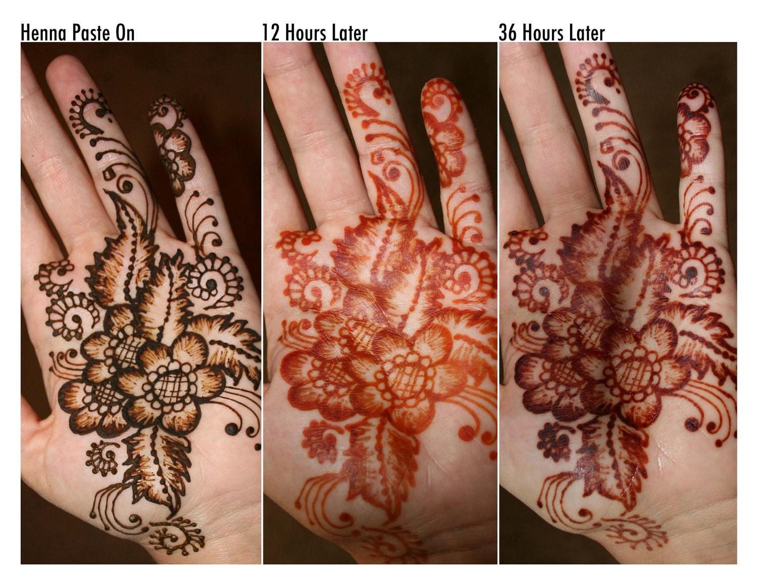 Henna Body Art Kit by RedwoodHenna on Etsy