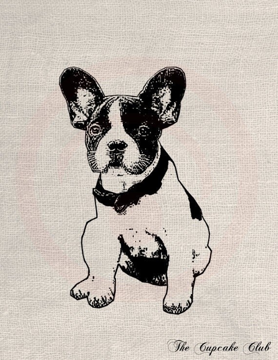 vintage dog clip art - photo #33
