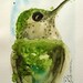 Hummingbird Original Watercolor Painting Bird Art