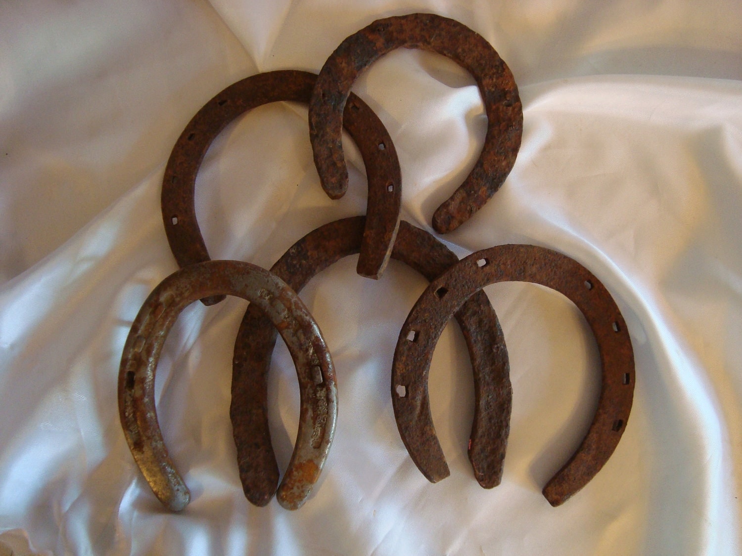 Horse Shoe Rusty Crusty Horse Shoes Horse Shoe Salvage