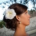 Bridal Hair Clip Fascinator hair clip hairband hair comb with pearl center