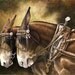 Bit by Bit- a pastel drawing from artist Wendy Leedy's mule collection- fine art print, signed