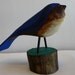Reserved for kyle zimmer Wood Sculpture , Folk Art Wooden Big Fat Vivid Blue Bird Carving Primitive Rustic Style using Maple