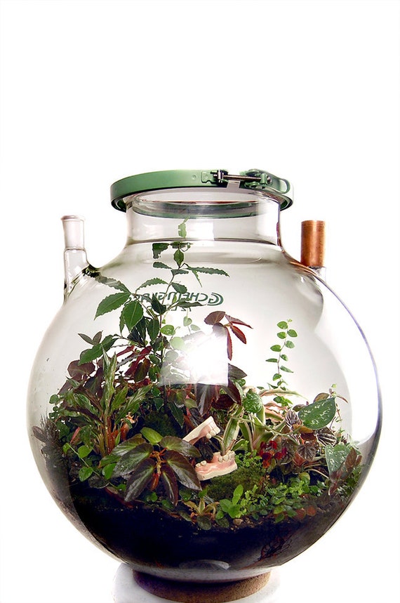 Items similar to 72 liter biodome on Etsy