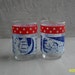 Apollo 12 Collectible Red White and Blue Return To The Moon Glass