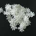Vintage Cotton Daisy Trim